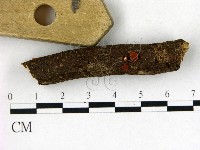 登錄號:F0022724藏品圖，第3張