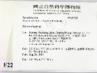 刺革菌屬藏品圖，第2張