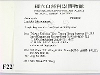 登錄號:F0022726藏品圖，第2張