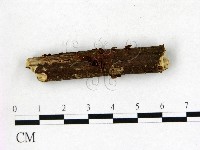 登錄號:F0022726藏品圖，第1張