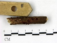 登錄號:F0022726藏品圖，第3張