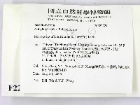 相鄰小孔菌藏品圖，第2張