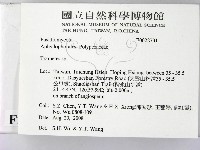 栓菌屬藏品圖，第2張