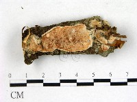 登錄號:F0022734藏品圖，第1張