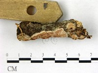 登錄號:F0022734藏品圖，第3張