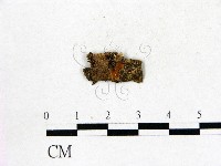 登錄號:F0022735藏品圖，第1張