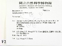 韌革菌屬藏品圖，第2張