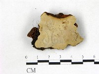 登錄號:F0022737藏品圖，第1張