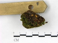 登錄號:F0022738藏品圖，第4張