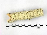 登錄號:F0022739藏品圖，第1張