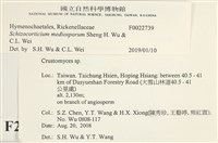 登錄號:F0022739藏品圖，第3張