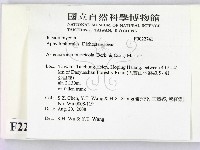 登錄號:F0022741藏品圖，第2張