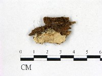 登錄號:F0022741藏品圖，第1張