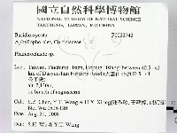 顯絲菌屬藏品圖，第2張