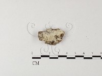 登錄號:F0022743藏品圖，第1張