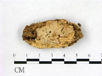 登錄號:F0022744藏品圖，第1張