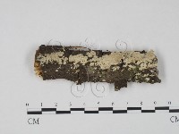 登錄號:F0022746藏品圖，第1張