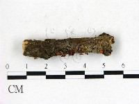 登錄號:F0022747藏品圖，第1張