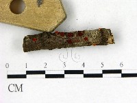 登錄號:F0022747藏品圖，第3張