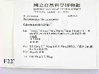 登錄號:F0022748藏品圖，第2張