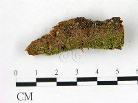 登錄號:F0022748藏品圖，第1張