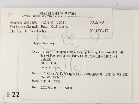 登錄號:F0022749藏品圖，第2張