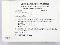 登錄號:F0022750藏品圖，第2張