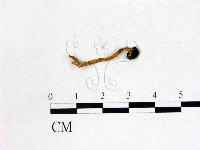登錄號:F0022750藏品圖，第1張