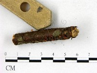 登錄號:F0022751藏品圖，第3張