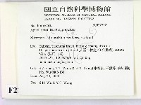 相鄰小孔菌藏品圖，第2張