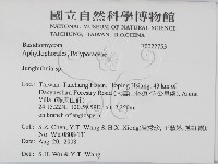容氏菌屬藏品圖，第2張