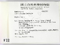 絲齒菌屬藏品圖，第2張