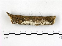 登錄號:F0022758藏品圖，第1張