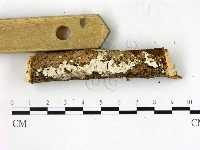 登錄號:F0022758藏品圖，第3張