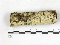 登錄號:F0022759藏品圖，第1張