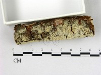 登錄號:F0022759藏品圖，第3張