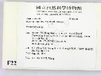 刺革菌屬藏品圖，第2張