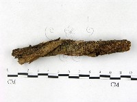 登錄號:F0022761藏品圖，第1張