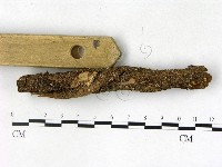 登錄號:F0022761藏品圖，第3張