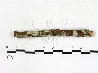 登錄號:F0022767藏品圖，第3張