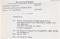 登錄號:F0022767藏品圖，第4張