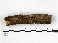 登錄號:F0022768藏品圖，第3張