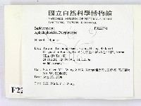 登錄號:F0022771藏品圖，第2張
