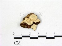登錄號:F0022771藏品圖，第1張