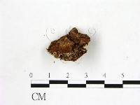 登錄號:F0022771藏品圖，第3張