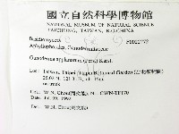 登錄號:F0022772藏品圖，第2張