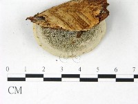 登錄號:F0022773藏品圖，第3張