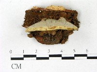 登錄號:F0022773藏品圖，第4張