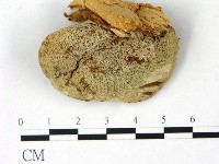 登錄號:F0022774藏品圖，第3張