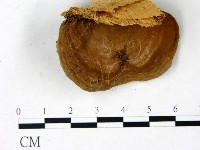 登錄號:F0022774藏品圖，第4張